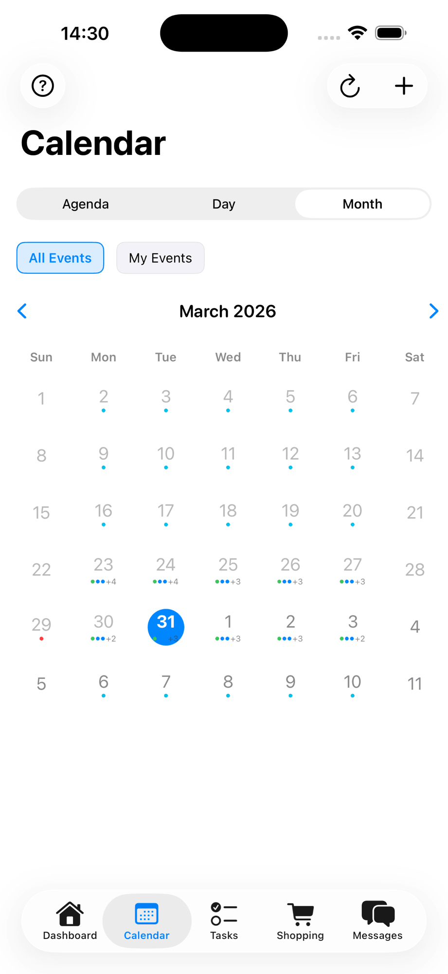AuPairSync shared calendar with color-coded events and family member filters