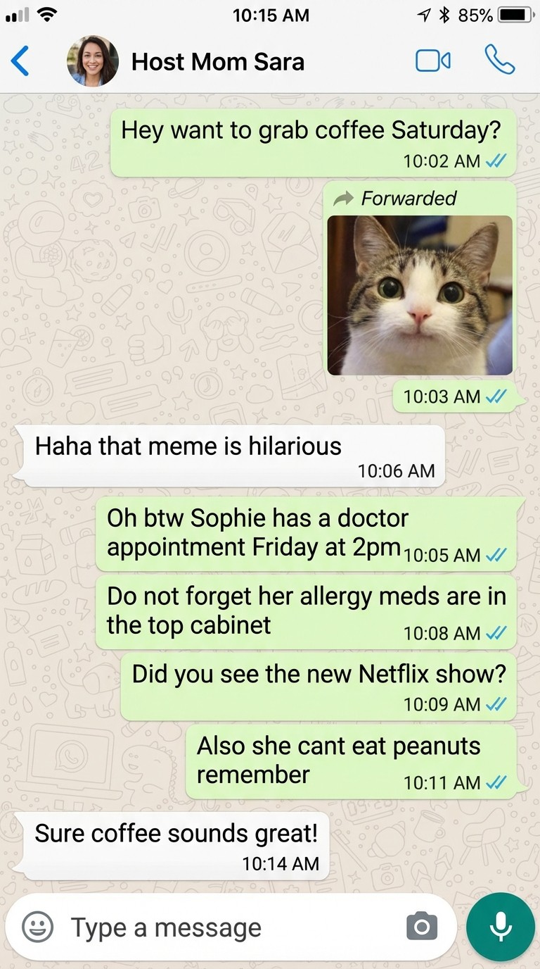 Mixed personal and work WhatsApp conversation with important info lost